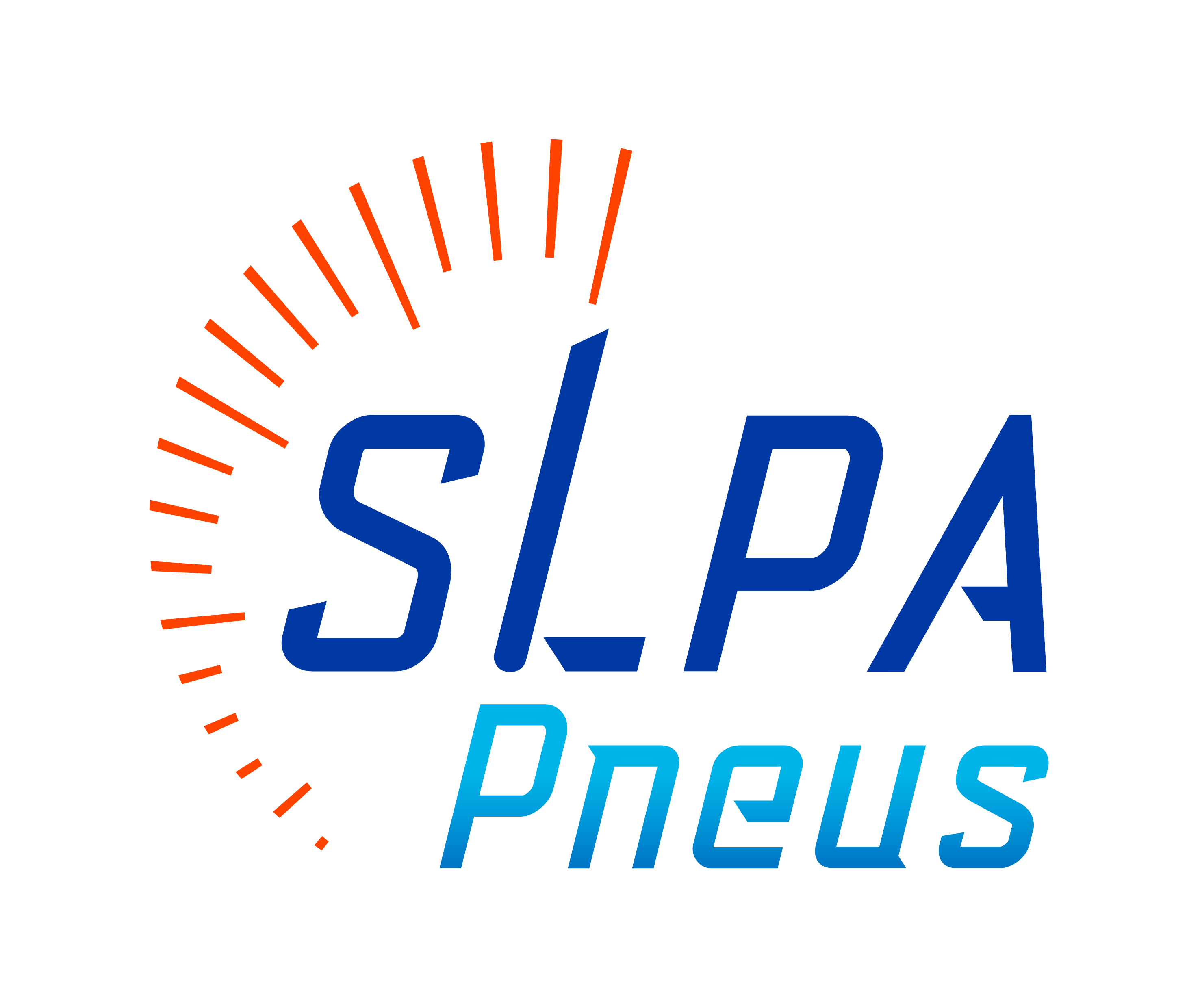 SLPA PNEUS